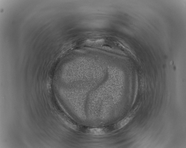 X0000072530265200608041604