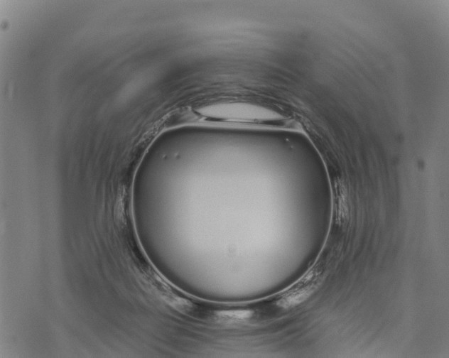 X0000072530266200608041604