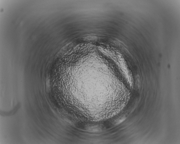 X0000072530267200608041604