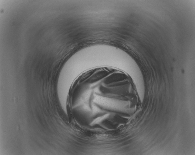 X0000072530268200608041604