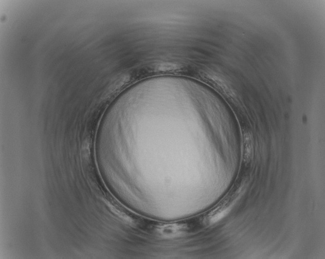 X0000072530269200608041604