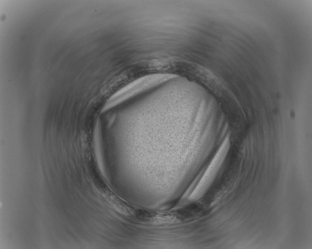 X0000072530270200608041604