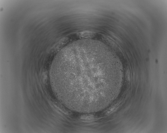 X0000072530271200608041604