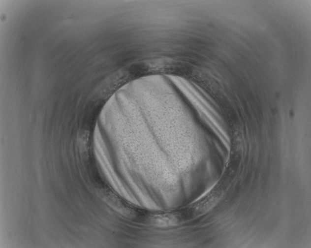 X0000072530275200608041605