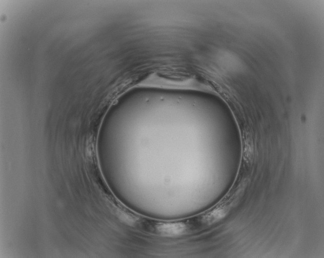 X0000072530277200608041605