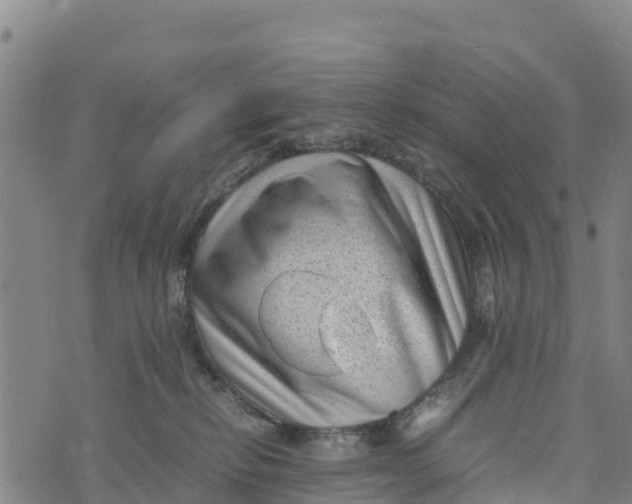 X0000072530278200608041605