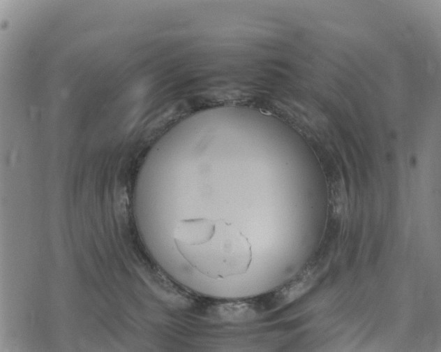 X0000072530279200608041605