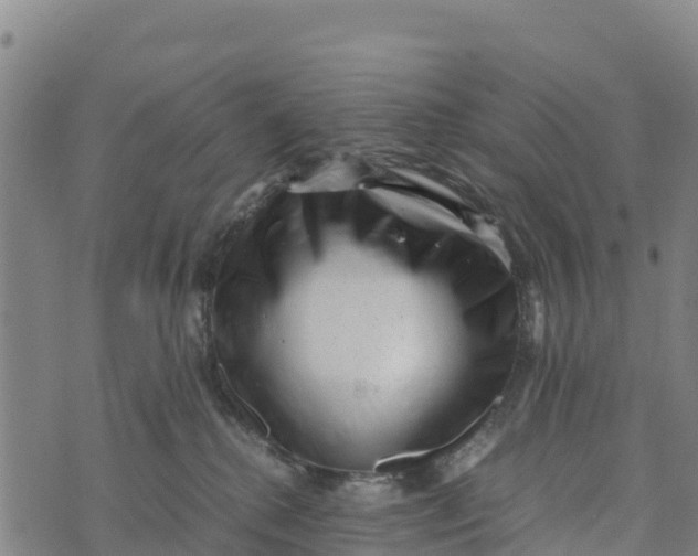 X0000072530280200608041605