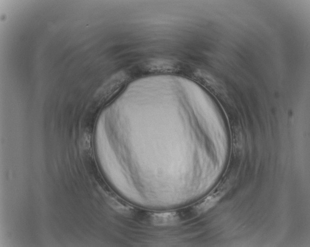 X0000072530281200608041605