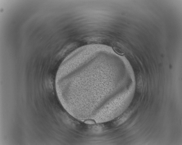 X0000072530282200608041605