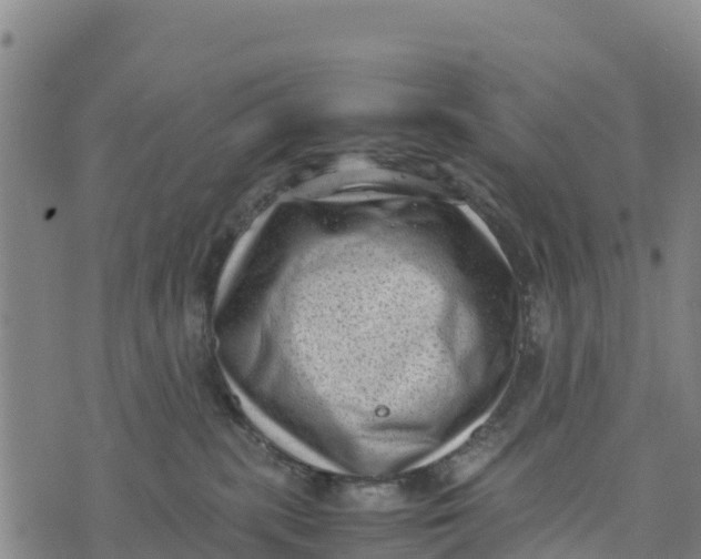 X0000072530283200608041605