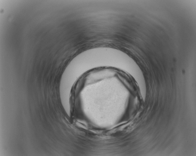 X0000072530284200608041605