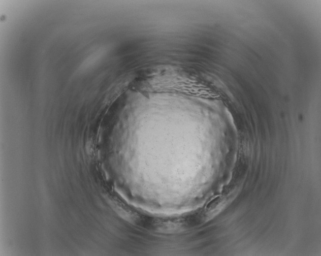 X0000072530285200608041605