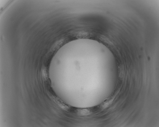 X0000072530287200608041605