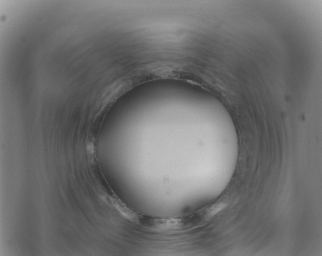 X0000072530288200608041605