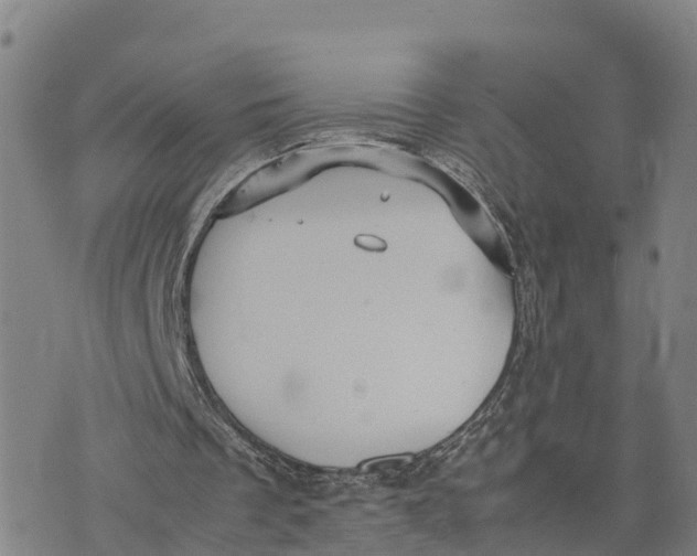 X0000072530289200608041604