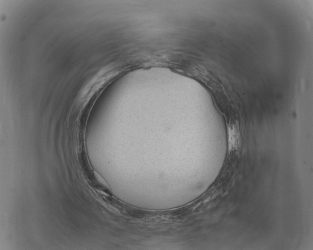 X0000072530291200608041604