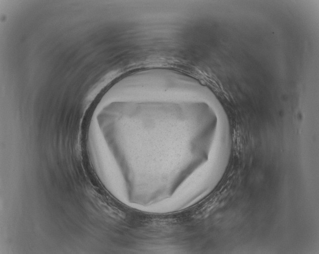 X0000072530292200608041604