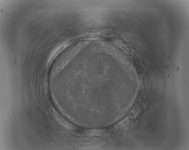 X0000072530293200608041604