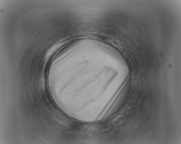 X0000072530294200608041604