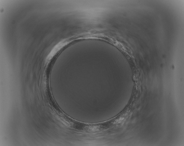 X0000072530295200608041604