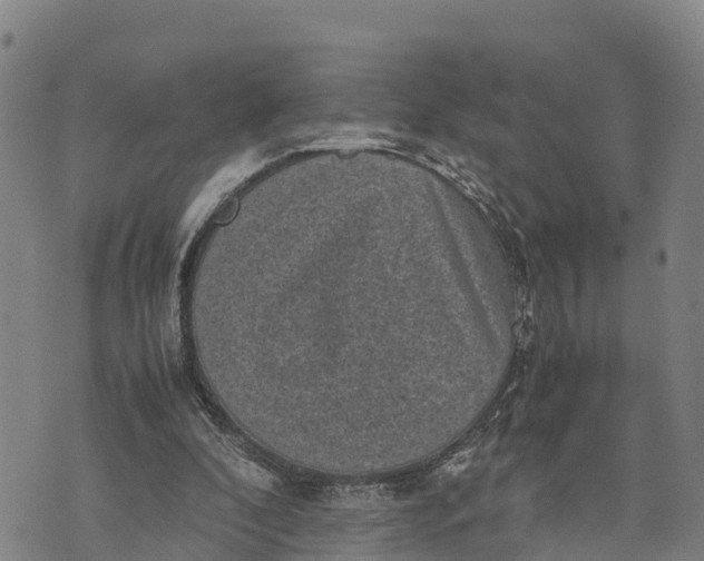 X0000072530296200608041604