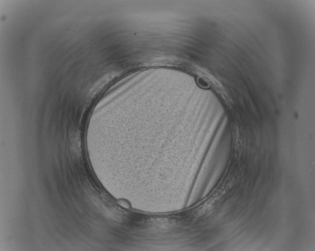 X0000072530298200608041604