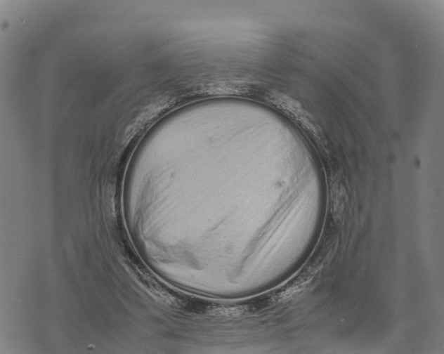 X0000072530299200608041604