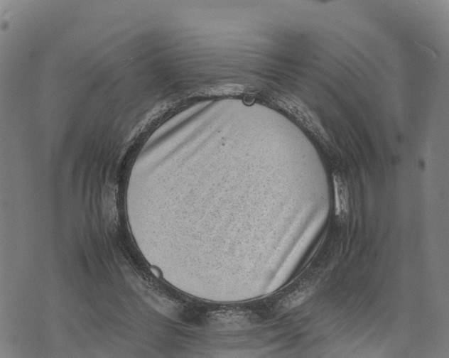 X0000072530300200608041604