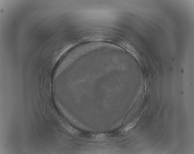 X0000072530301200608041604