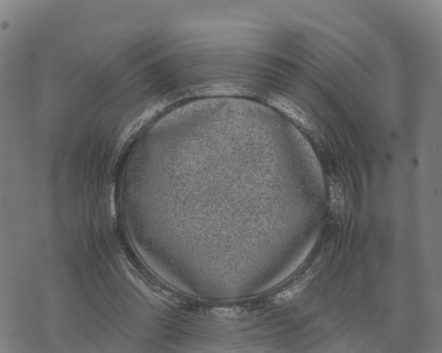 X0000072530302200608041604