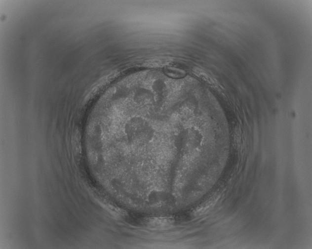 X0000072530303200608041604