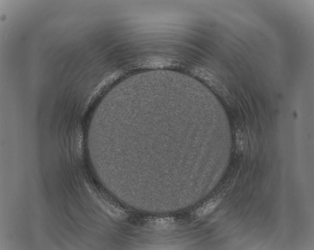 X0000072530304200608041604