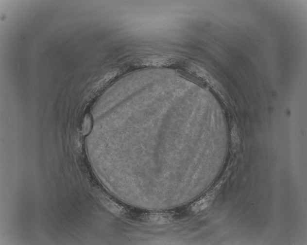 X0000072530305200608041604