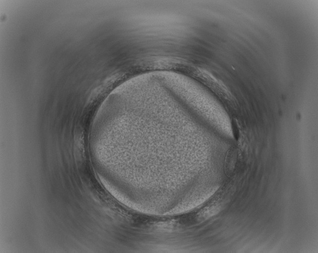 X0000072530306200608041604