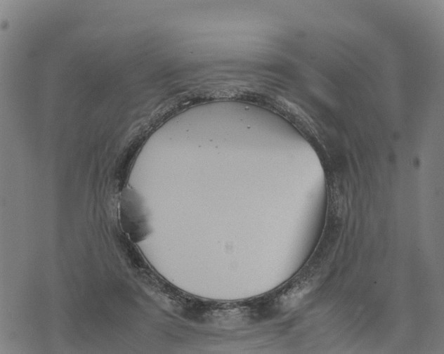 X0000072530307200608041604