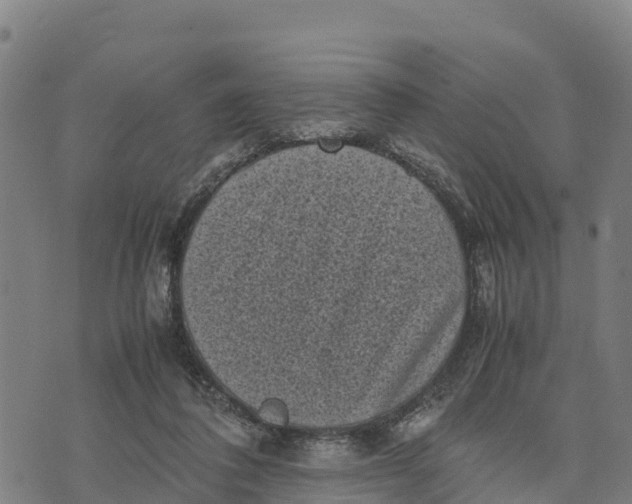 X0000072530308200608041604