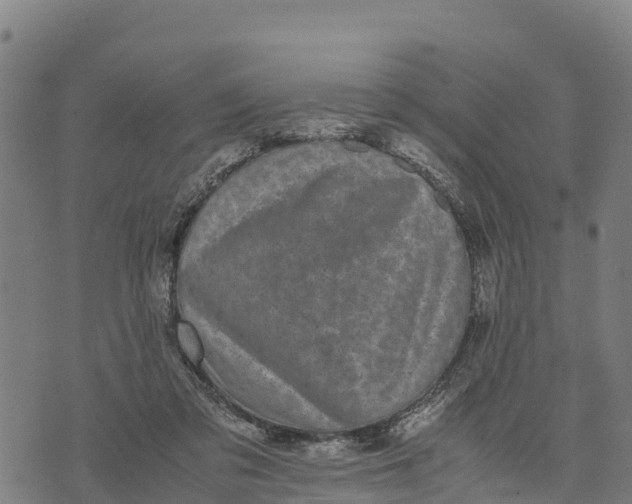 X0000072530309200608041604