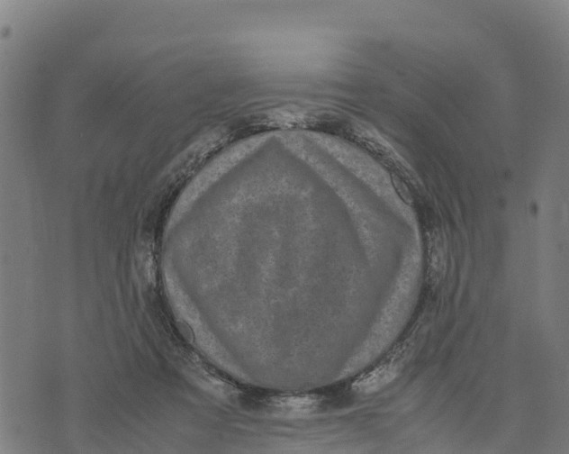 X0000072530313200608041604