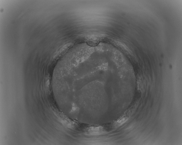 X0000072530314200608041604