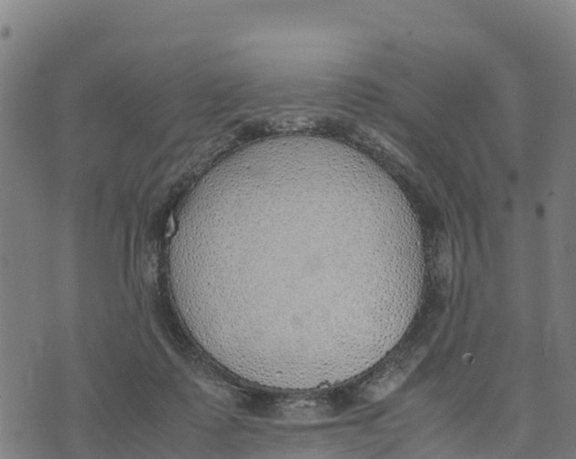 X0000072530315200608041604