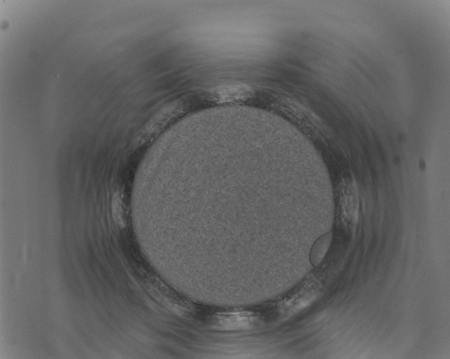 X0000072530316200608041604