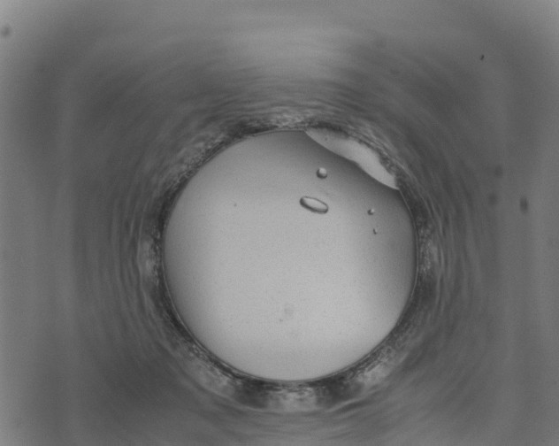 X0000072530317200608041603