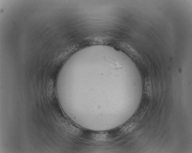 X0000072530318200608041603