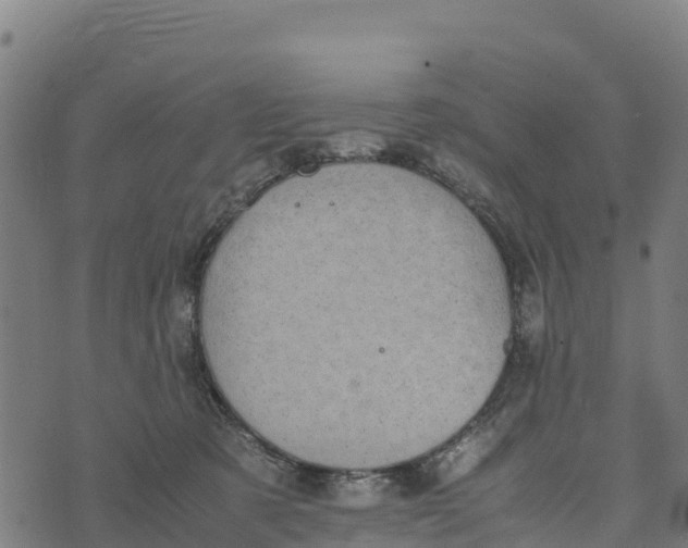 X0000072530321200608041603