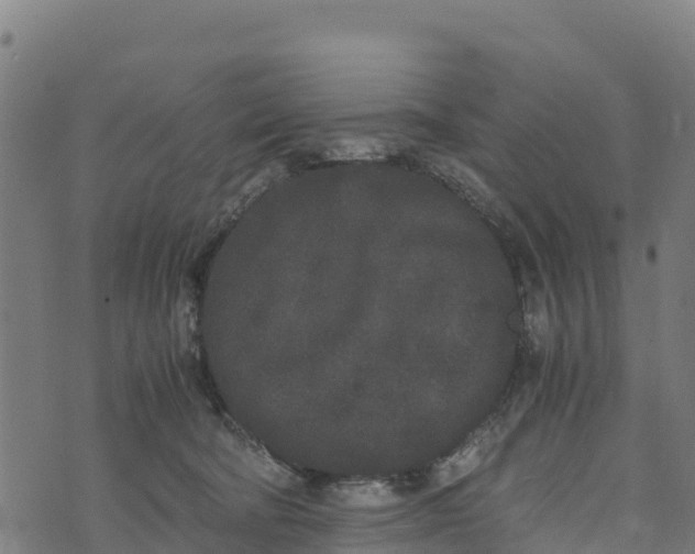 X0000072530322200608041603