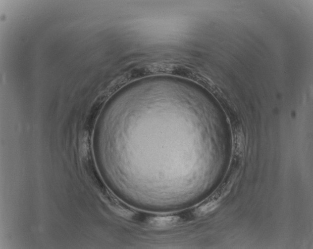 X0000072530323200608041603