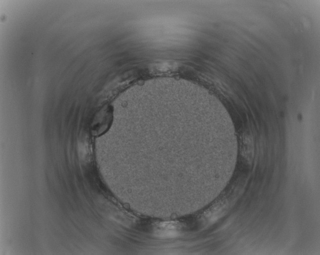 X0000072530324200608041603