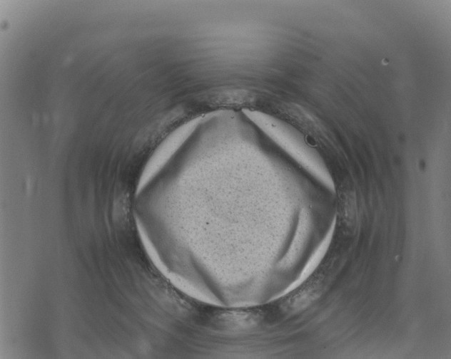 X0000072530326200608041603