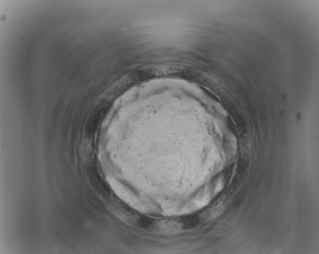 X0000072530327200608041603